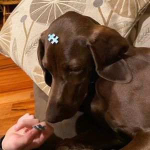 Meet your Posher, Clay